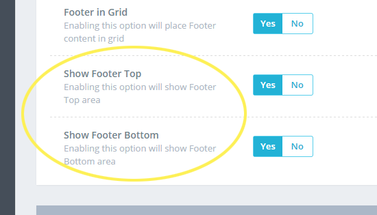 Footer Settings