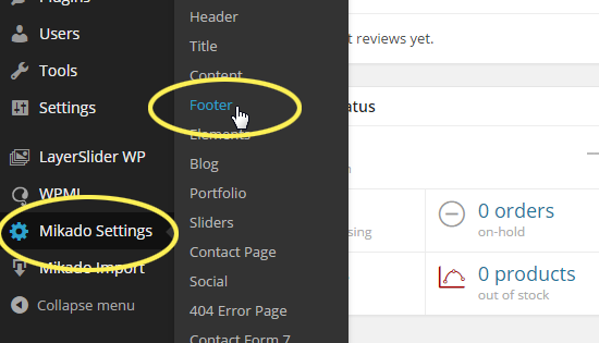 Mikado Settings > Footer