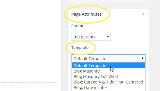 Page Templates