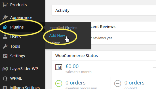Plugins > Add New