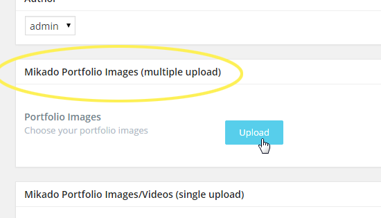 Portfolio - Multiple Upload