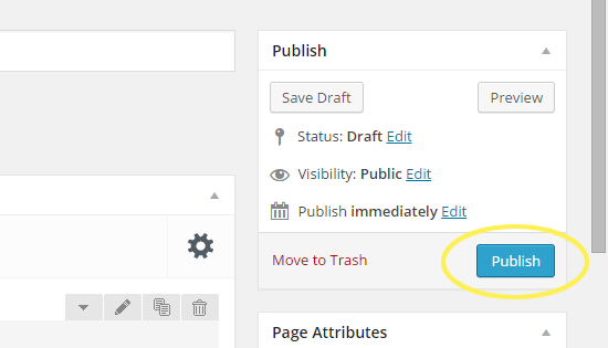 Publish Button