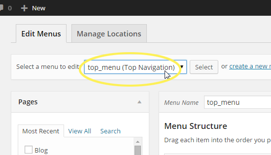Top Navigation